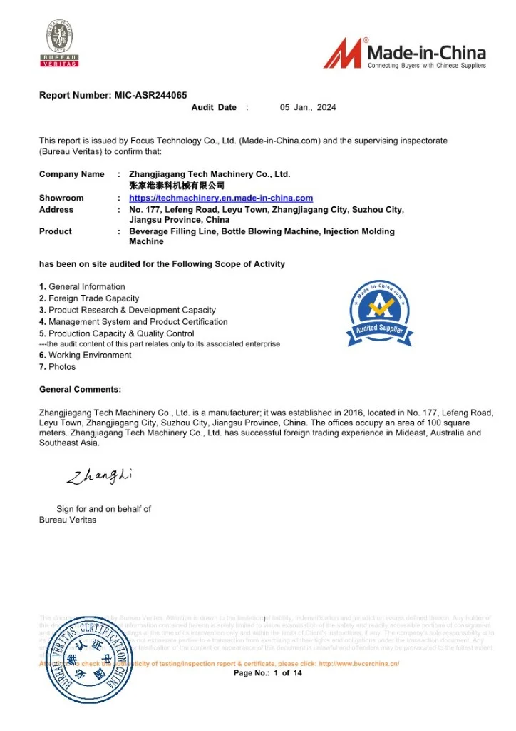 Bureau Veritas Audit Report