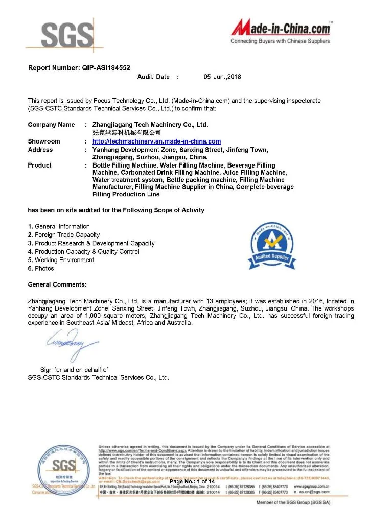 SGS Audit Report